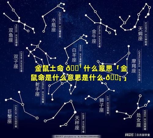 金鼠土命 🌹 什么意思「金鼠命是什么意思是什么 🐡 」